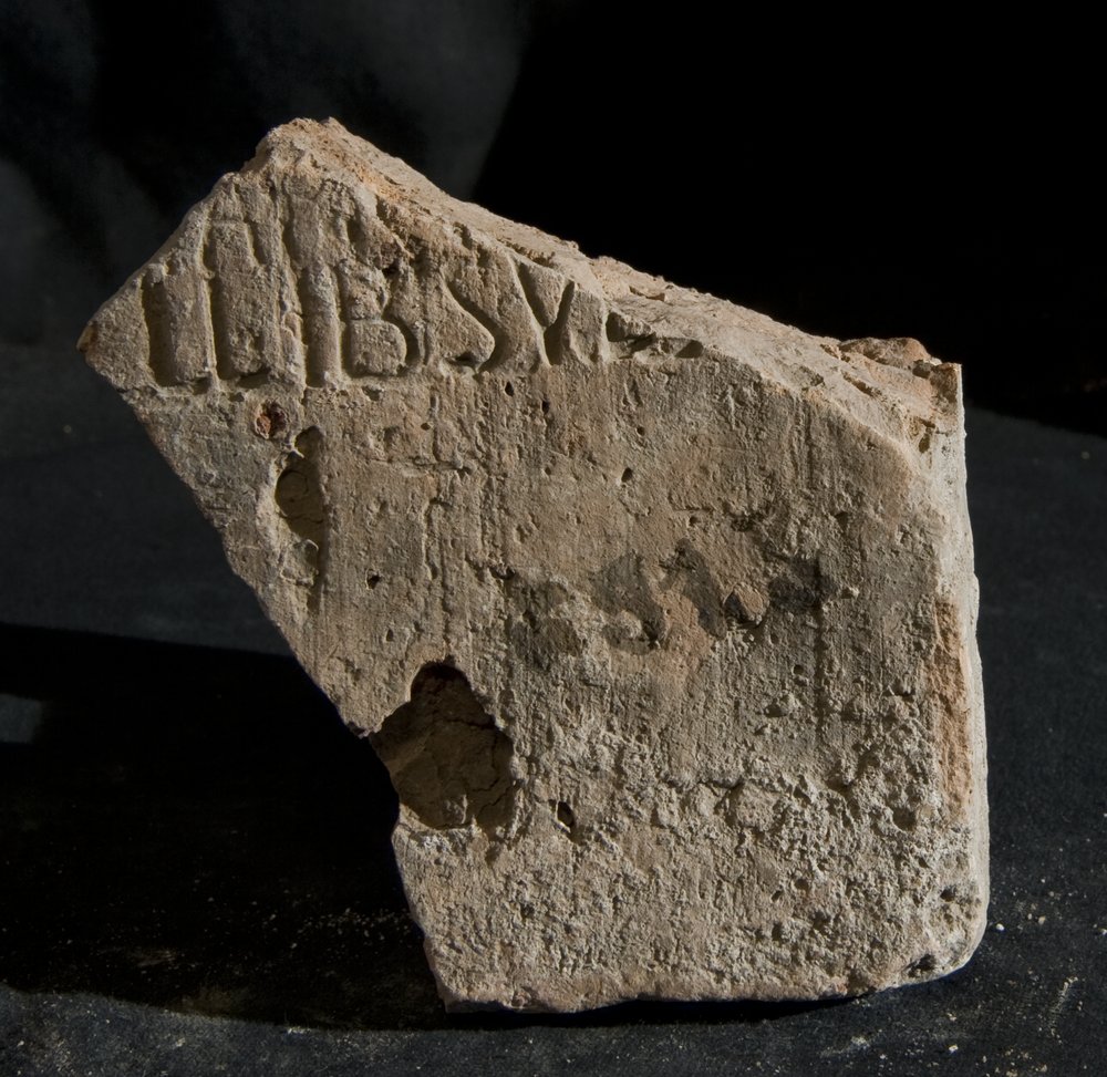 Inv. 8513.TIF