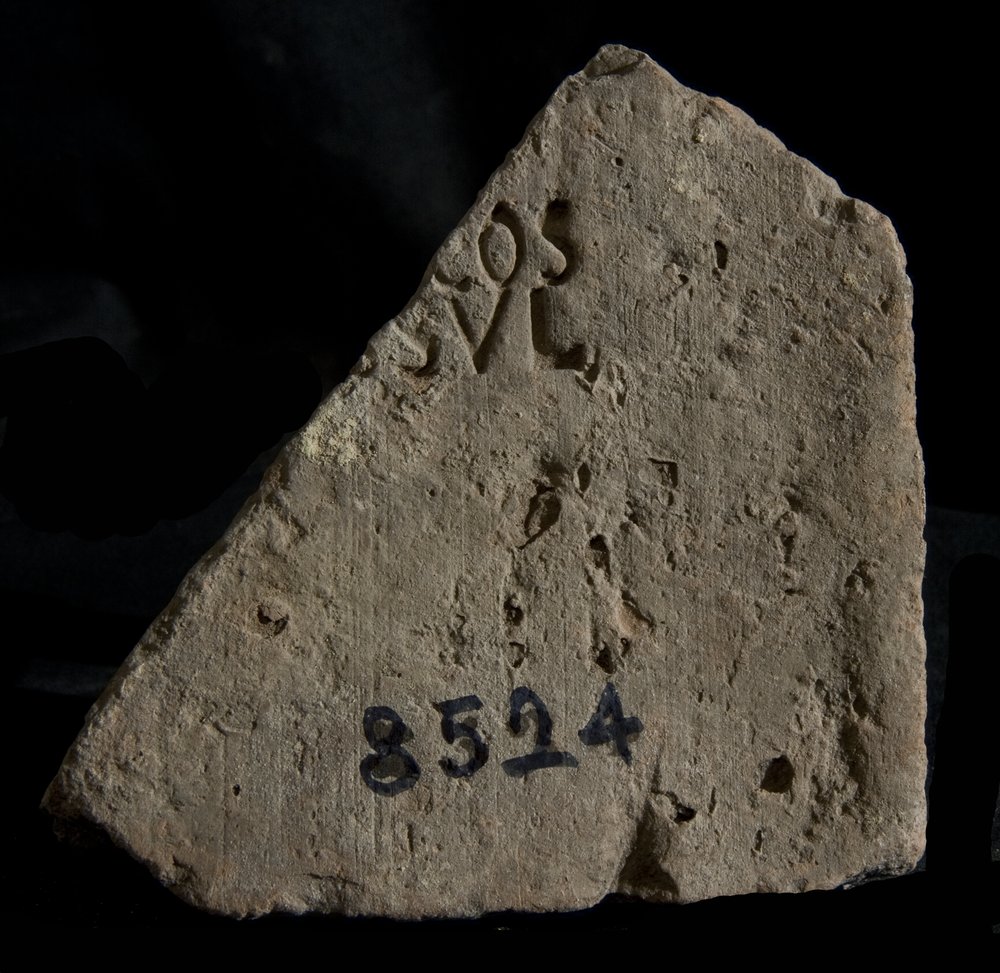Inv. 8524.TIF
