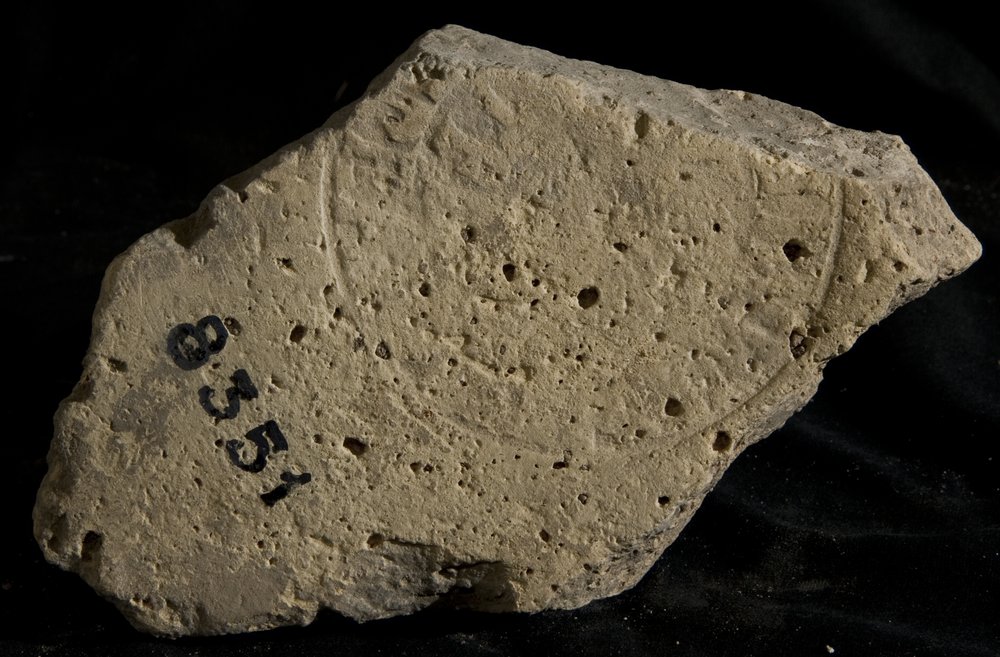 Inv. 8351.TIF