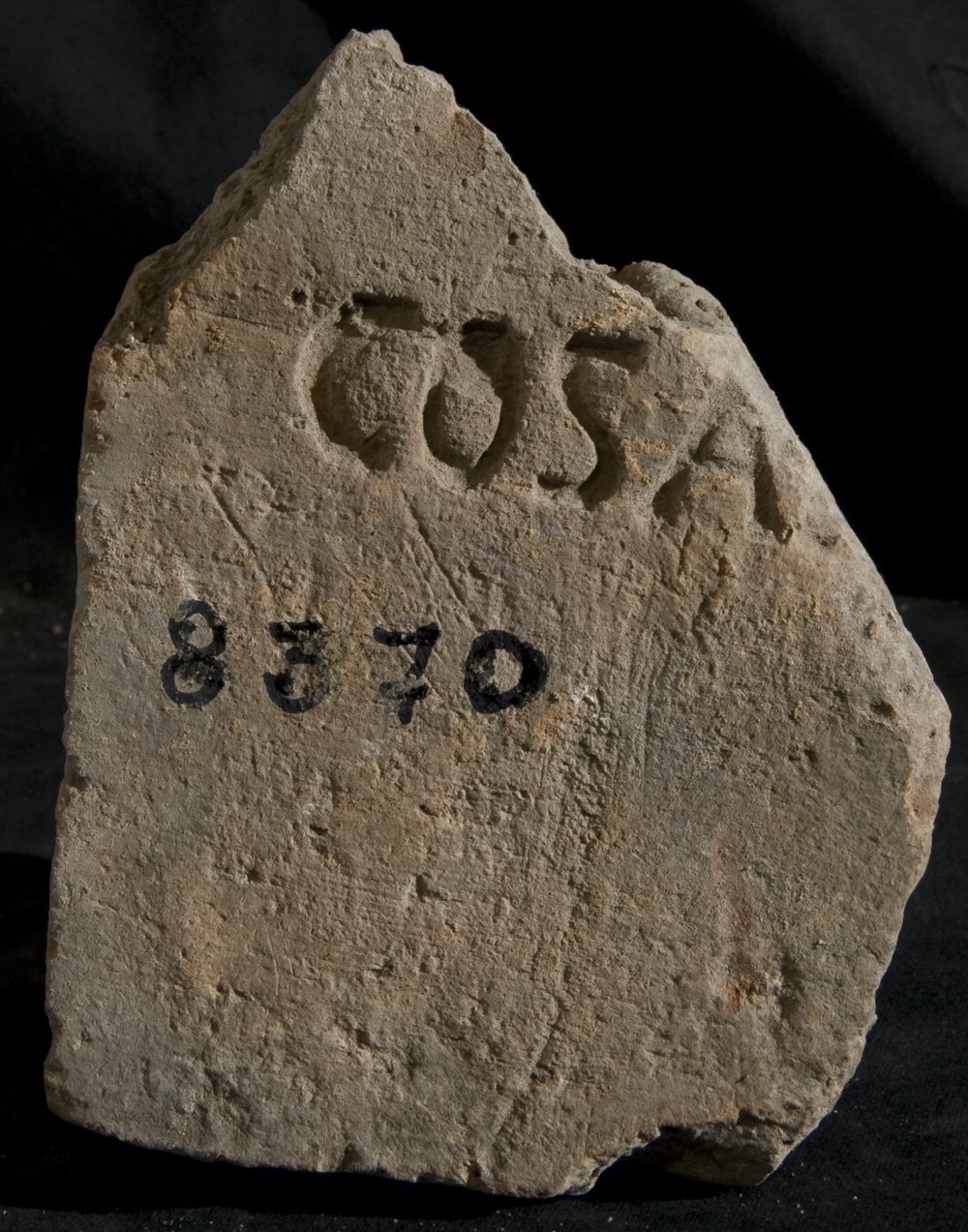 Inv. 8370.TIF