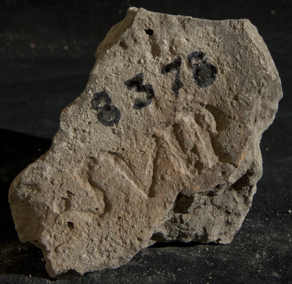 Inv. 8378.TIF