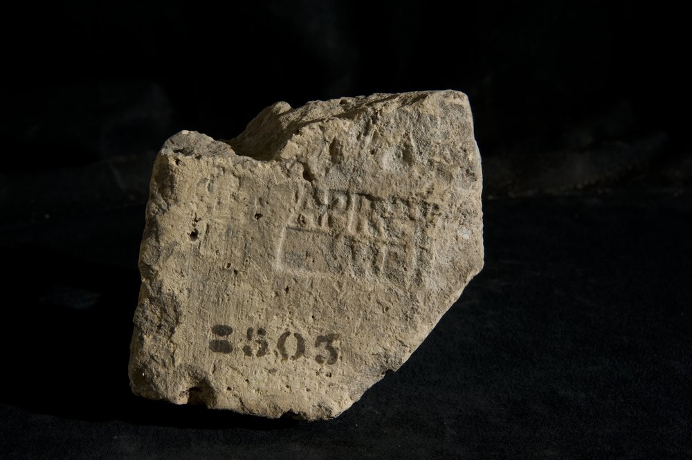 Inv. 8503.TIF