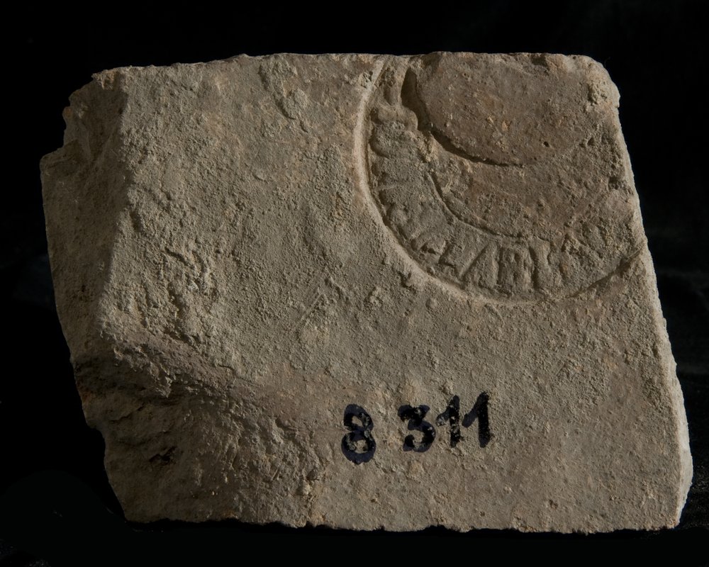 Inv. 8311.TIF