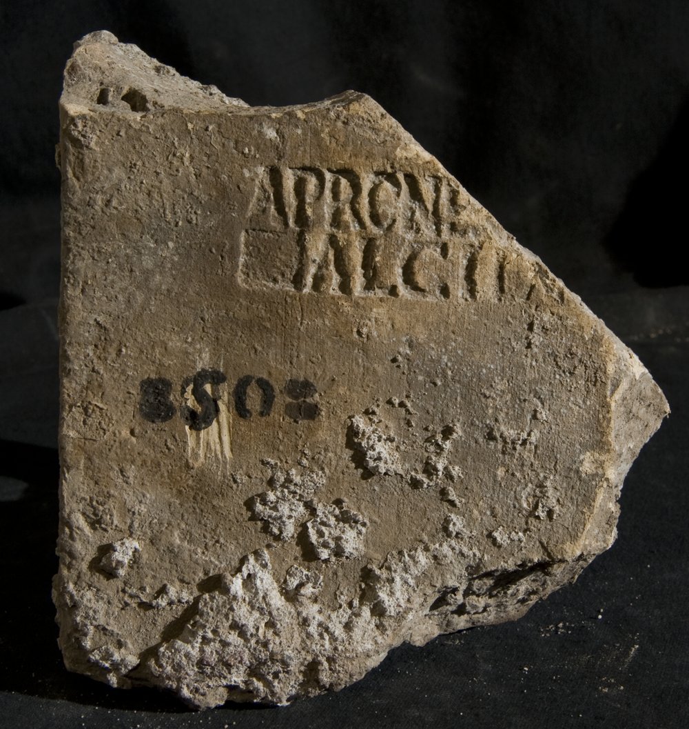 Inv. 8508.TIF