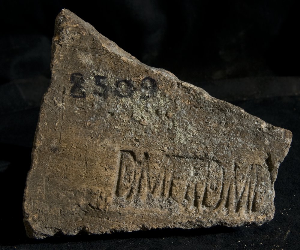 Inv. 8509.TIF