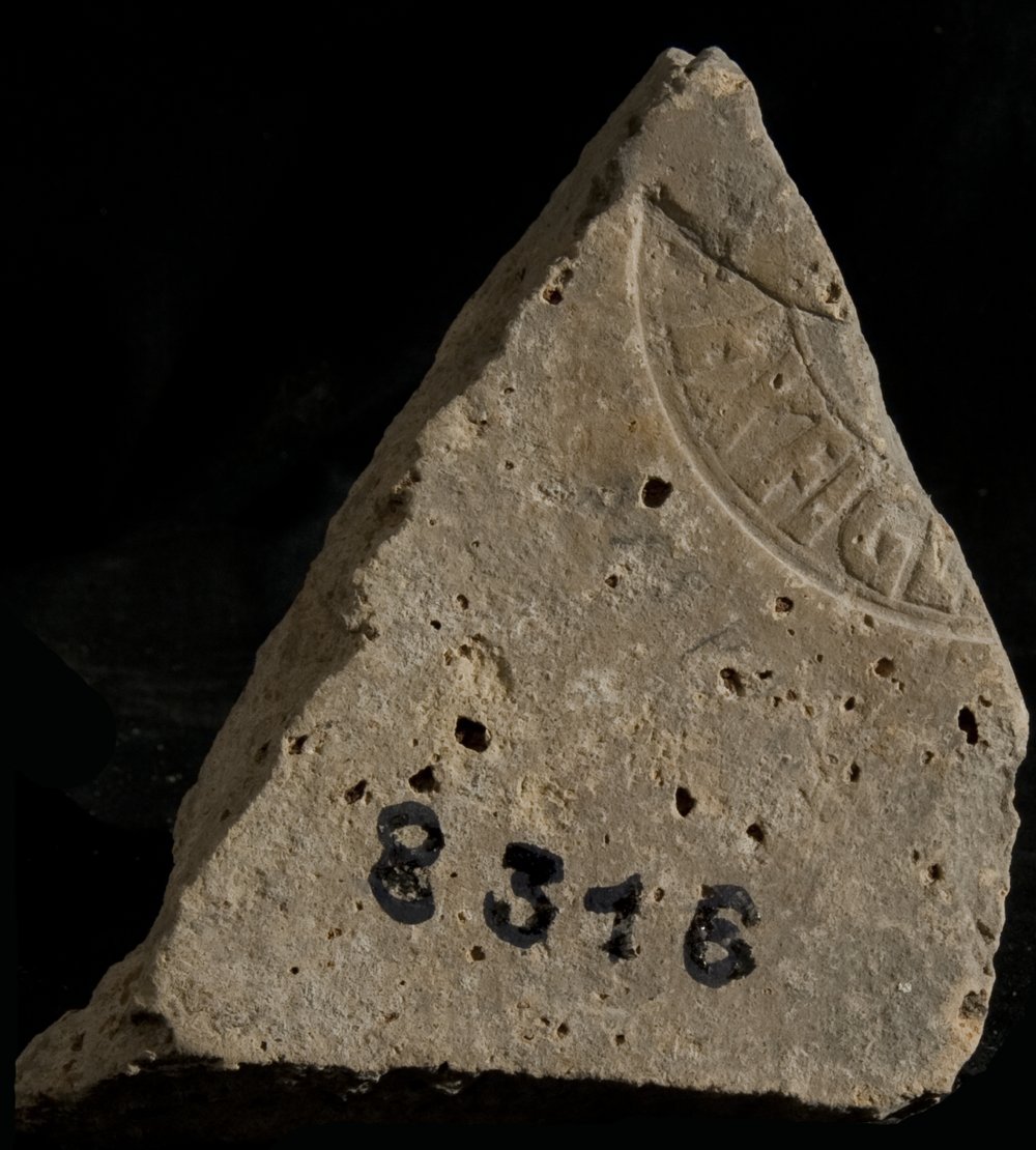 Inv. 8316.TIF