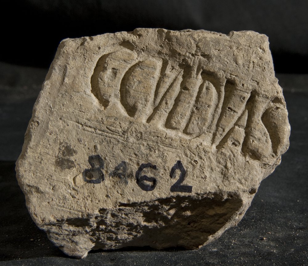 Inv. 8462.TIF