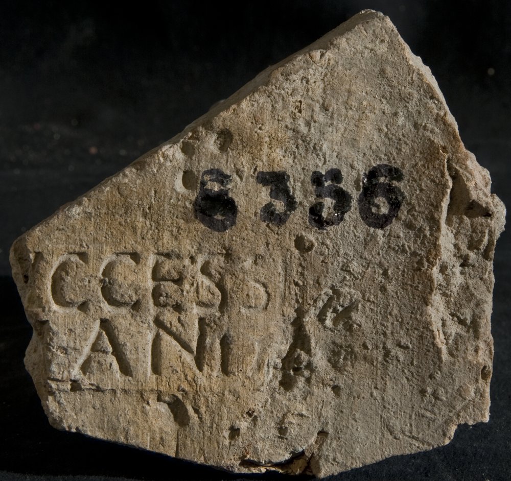 Inv. 8356.TIF