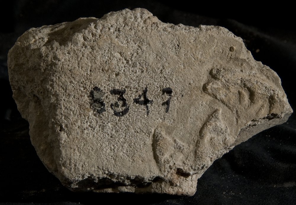 Inv. 8347.TIF