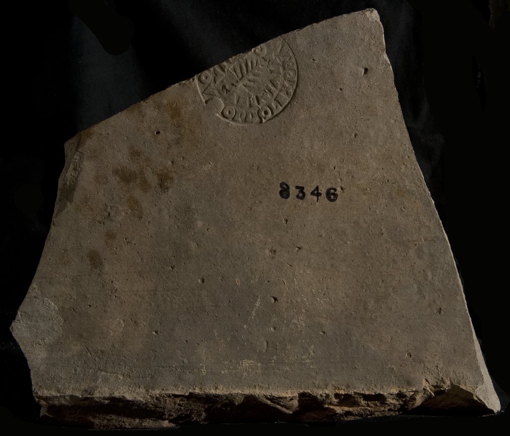 Inv. 8346.TIF