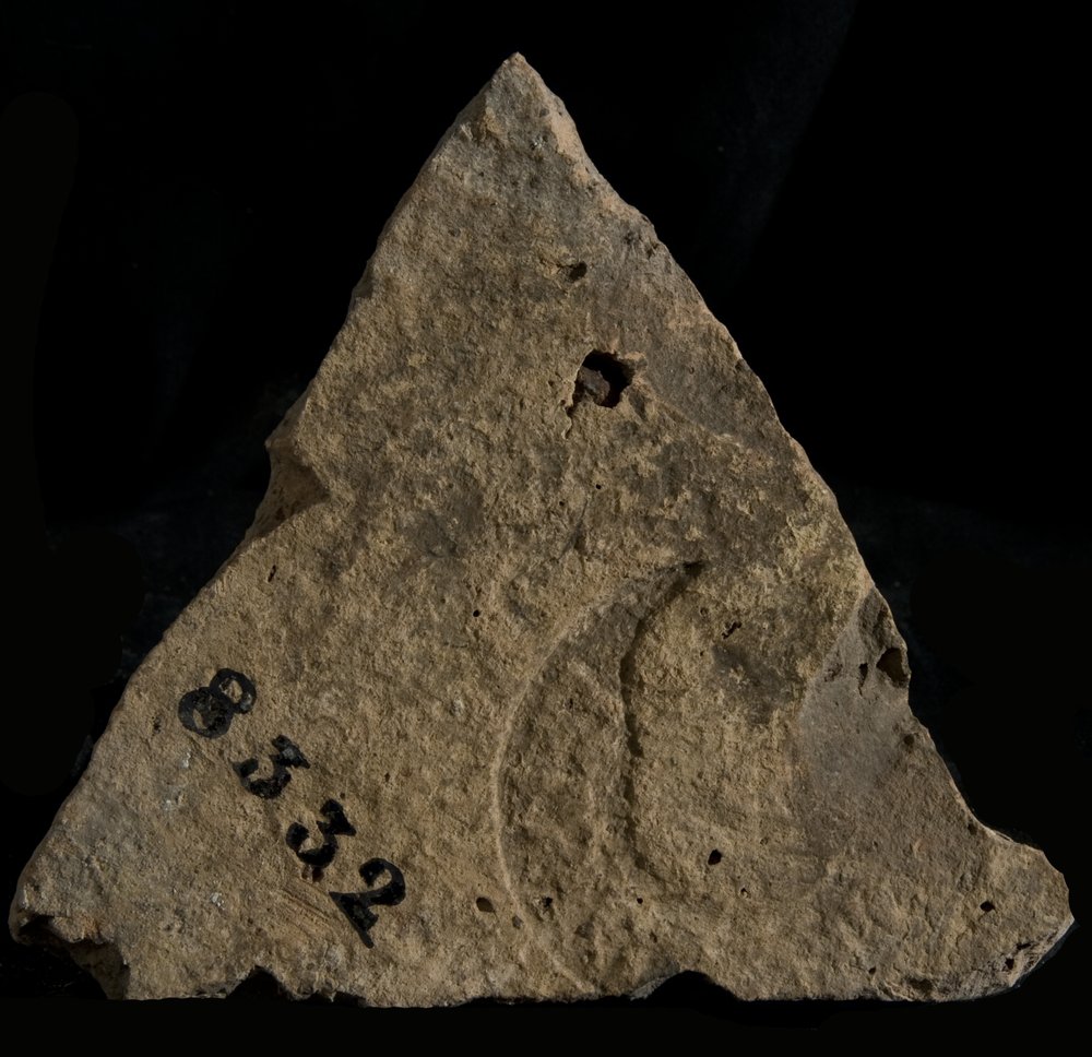 Inv. 8332.TIF