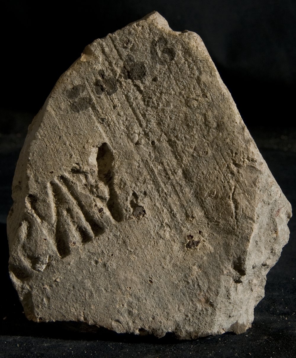 Inv. 8446.TIF