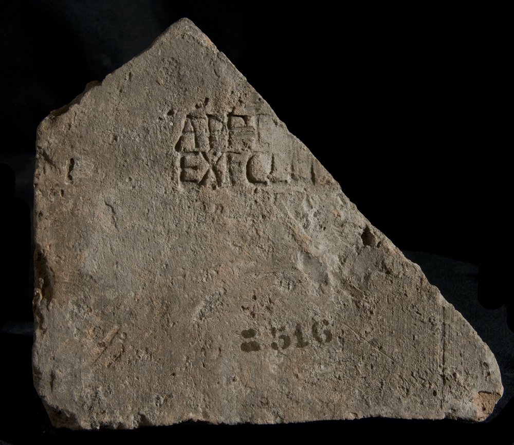 Inv. 8516.TIF