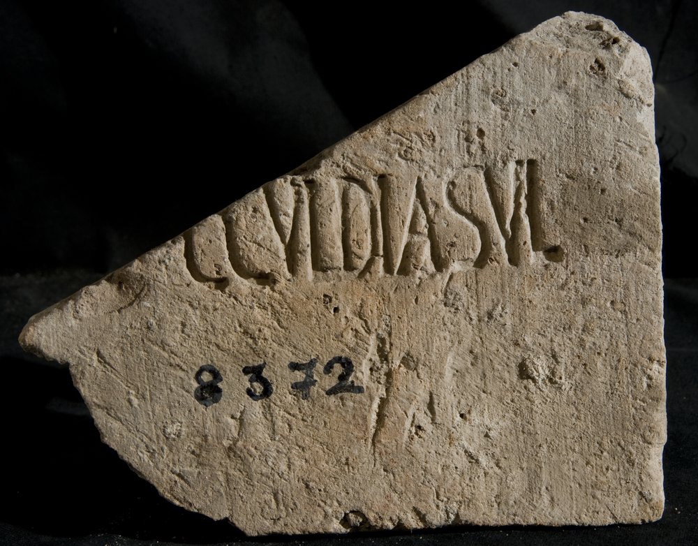 Inv. 8372.TIF