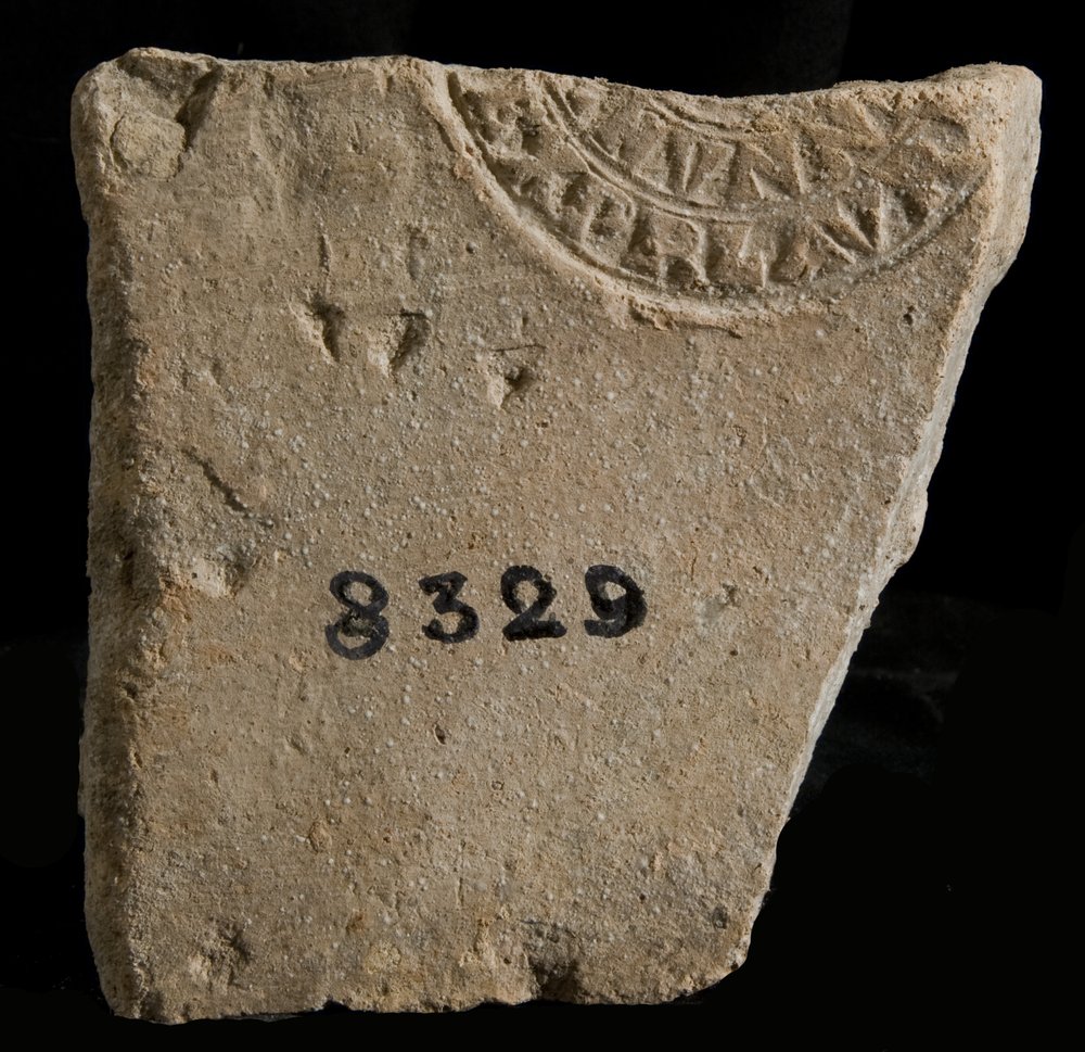 Inv. 8329.TIF