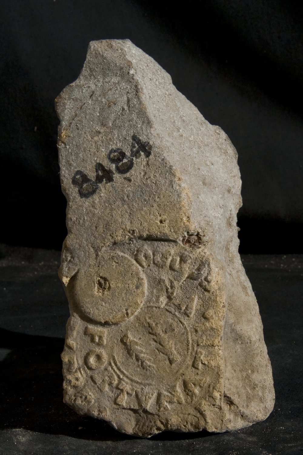 Inv. 8484.TIF