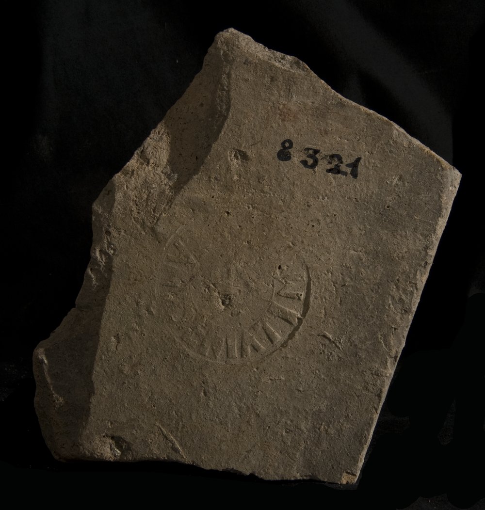 Inv. 8321.TIF