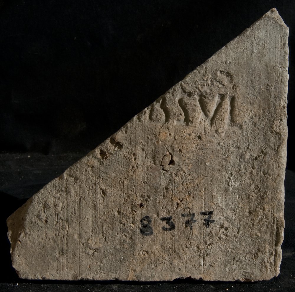 Inv. 8377.TIF