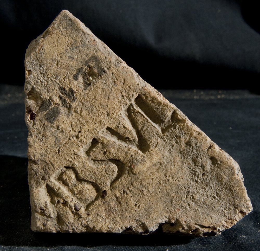 Inv. 8477.TIF