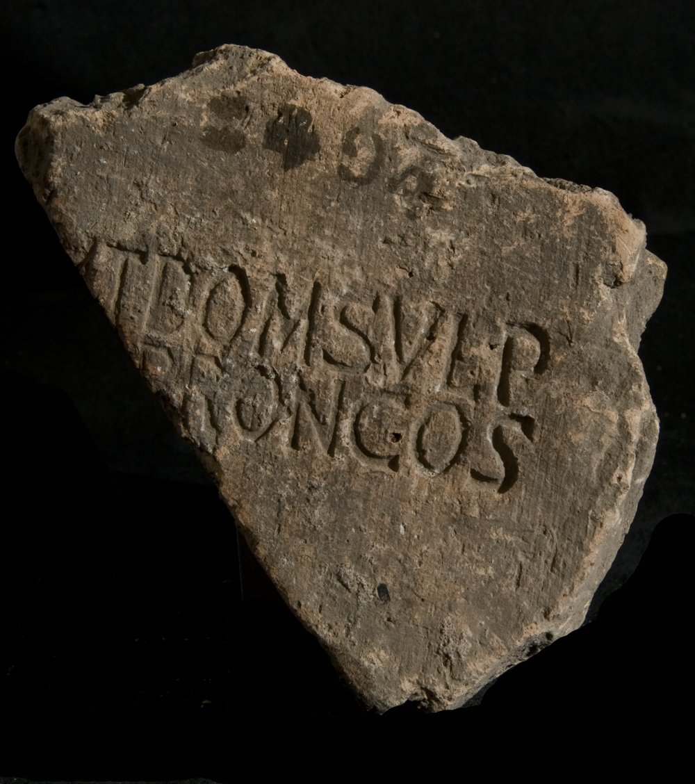 Inv. 8494.TIF