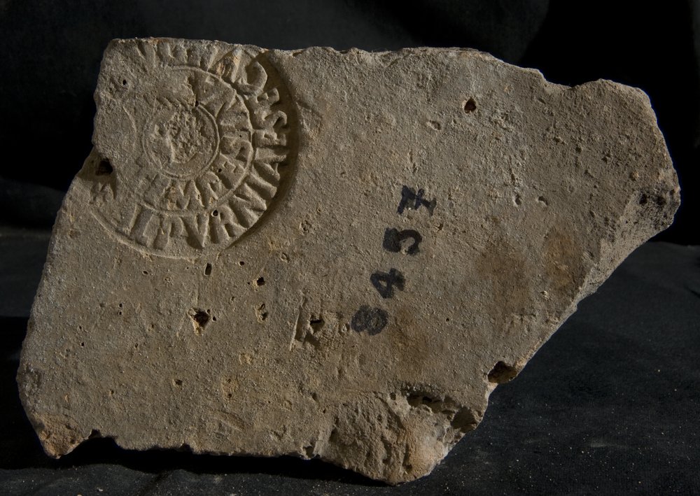 Inv. 8457.TIF