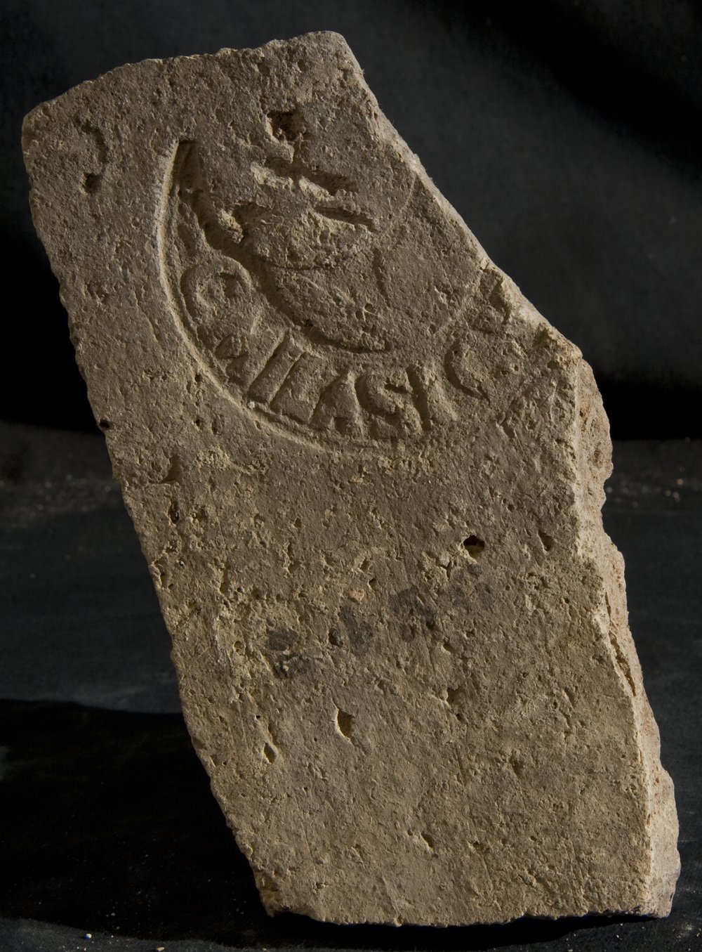Inv. 8436.TIF