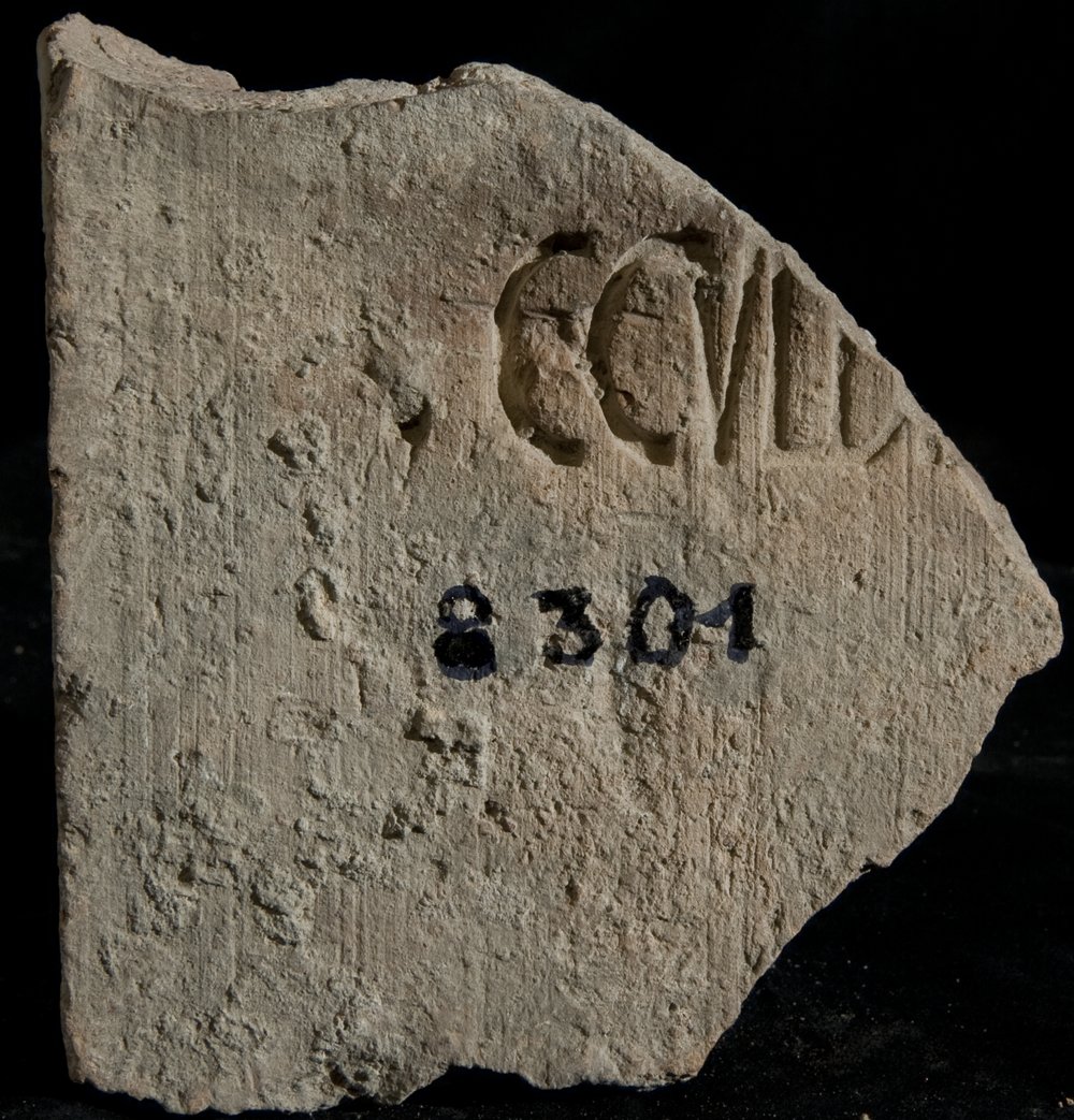 Inv. 8301.TIF