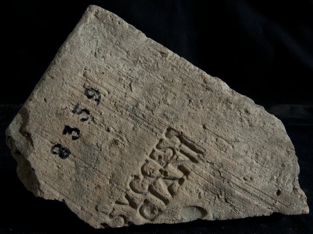 Inv. 8359.TIF