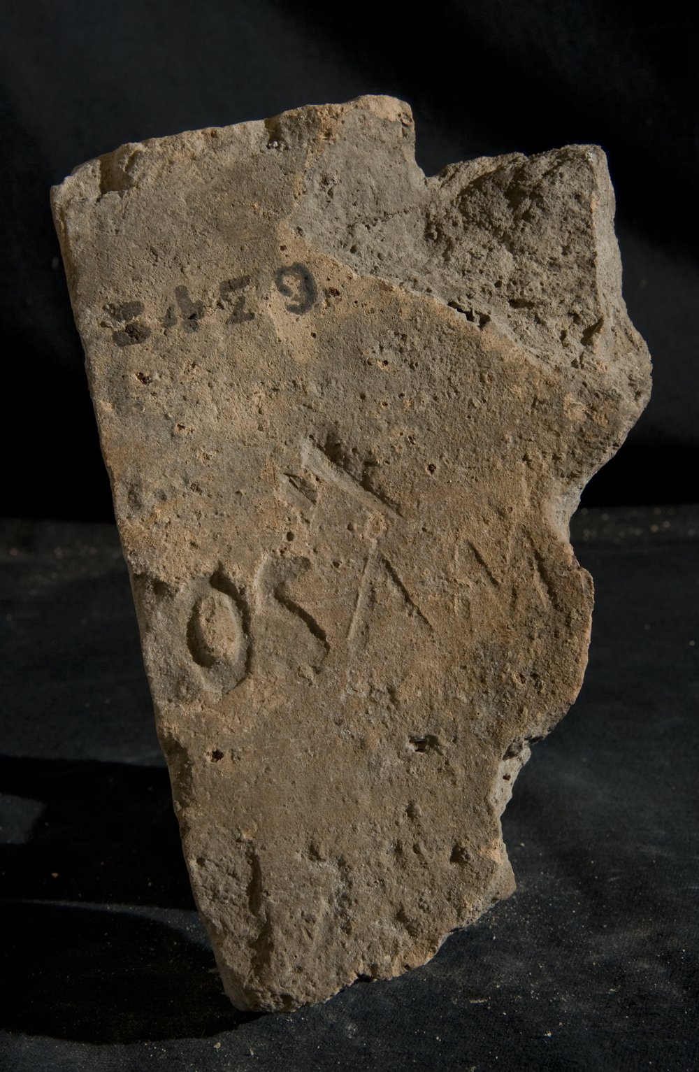 Inv. 8479.TIF