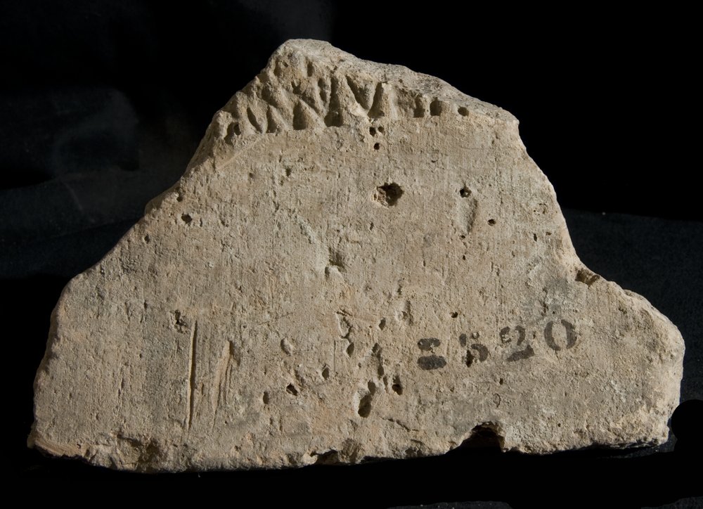 Inv. 8520.TIF
