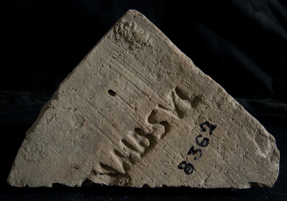 Inv. 8362.TIF