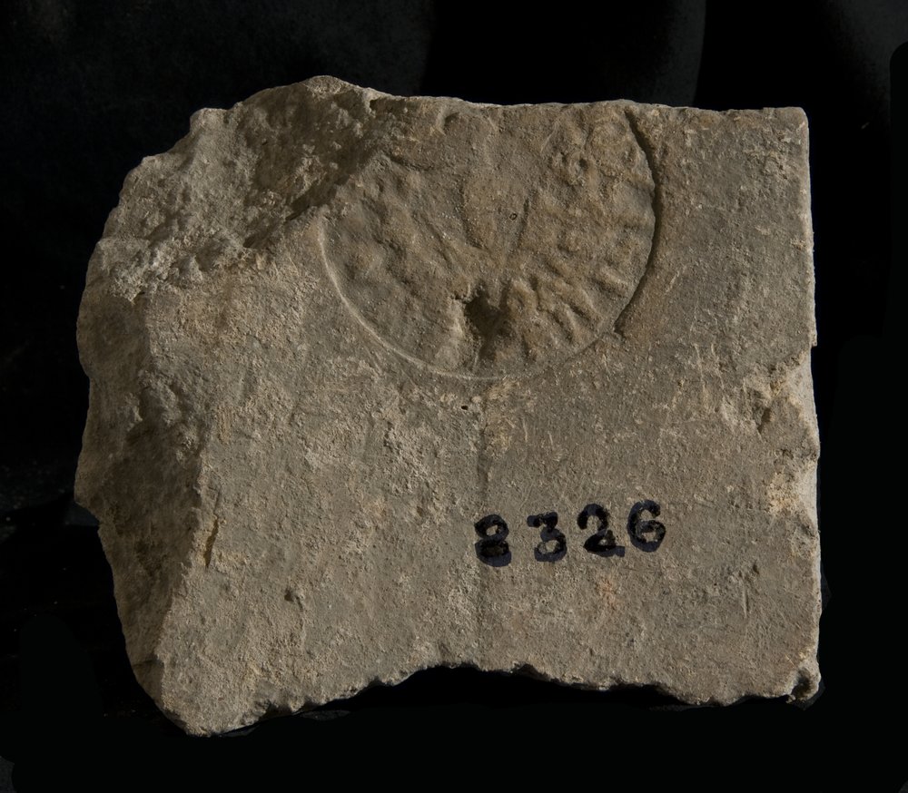 Inv. 8326.TIF