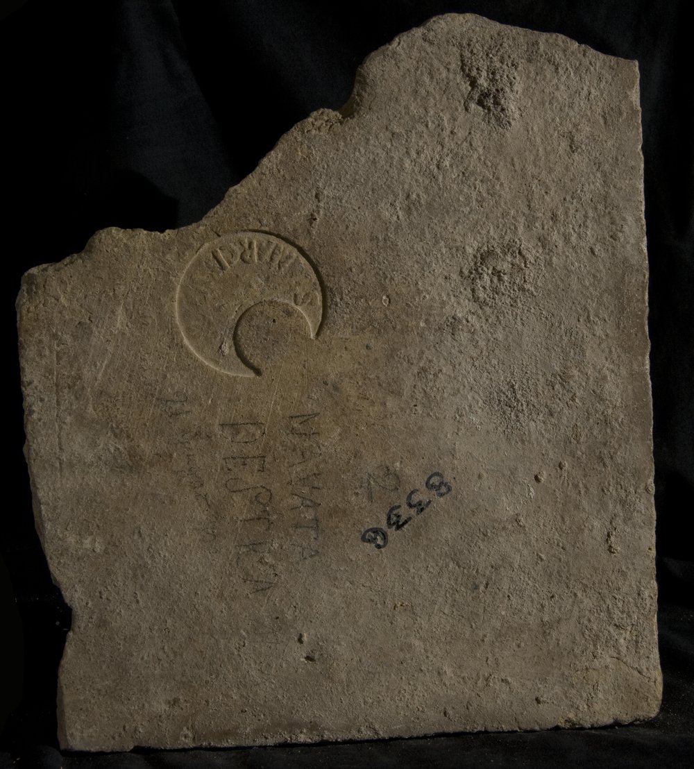 Inv. 8336.TIF
