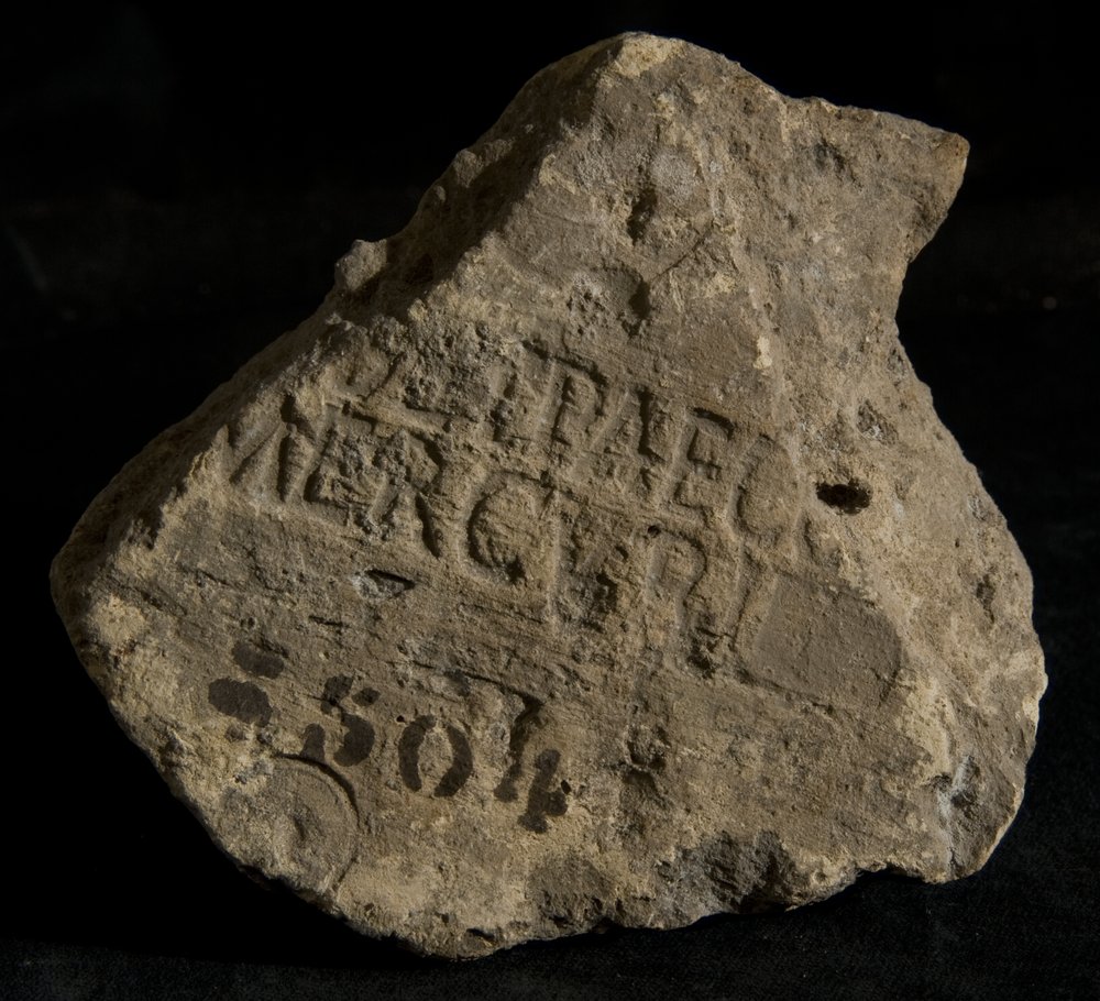 Inv. 8504.TIF