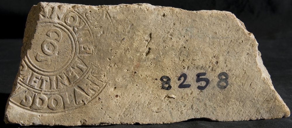 Inv. 8258.TIF