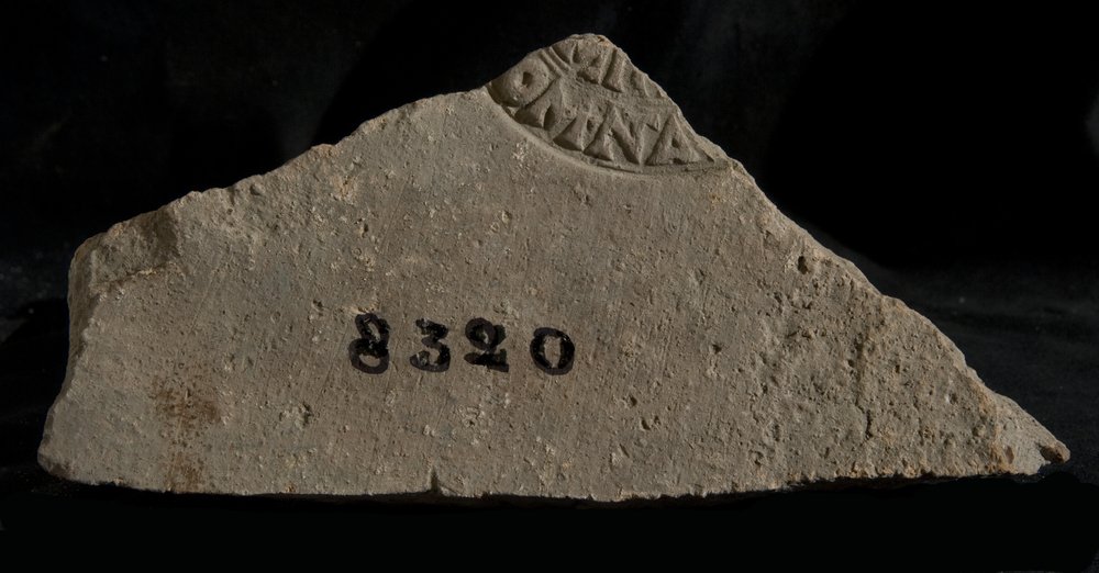 Inv. 8320.TIF