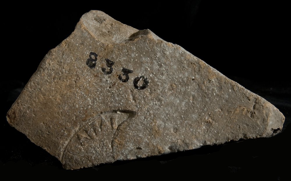 Inv. 8330.TIF