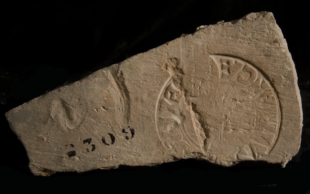 Inv. 8309.TIF