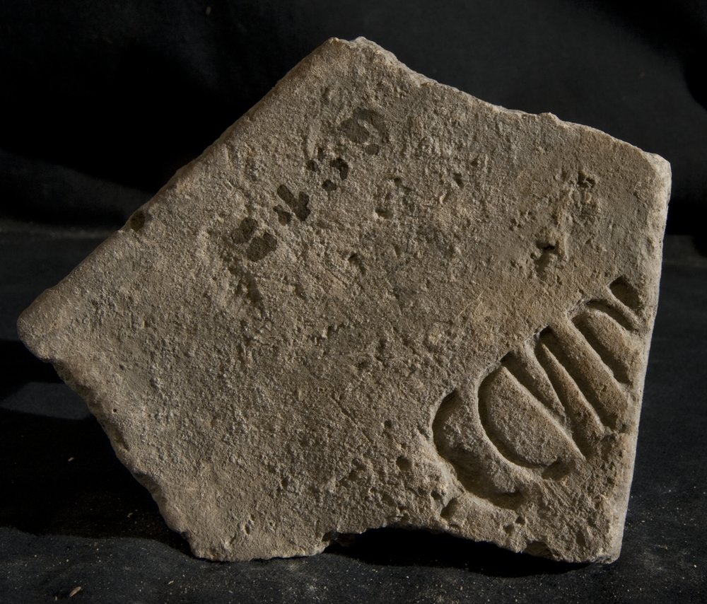 Inv. 8459.TIF