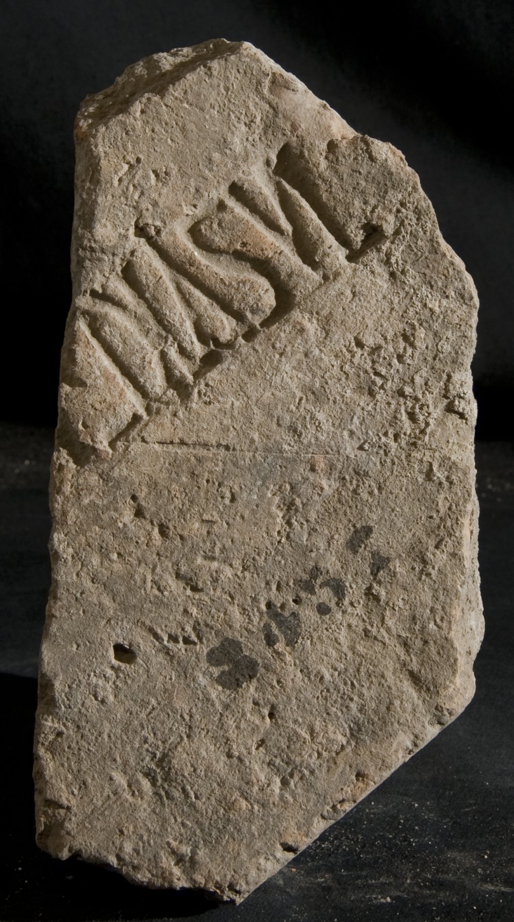 Inv. 8437.TIF