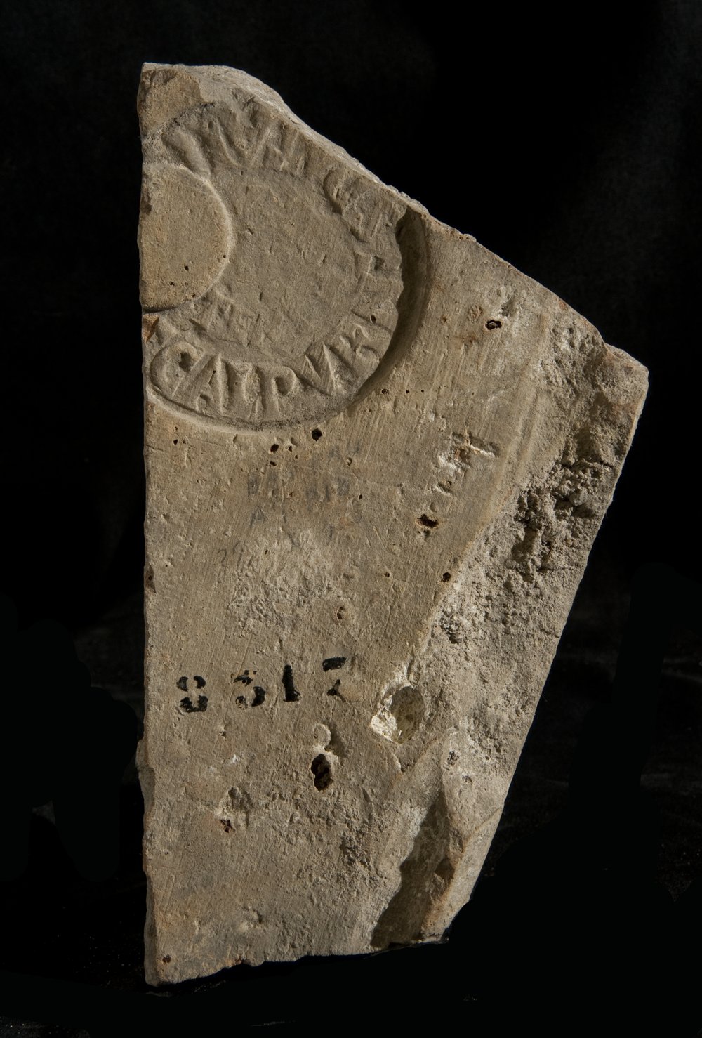 Inv. 8317.TIF
