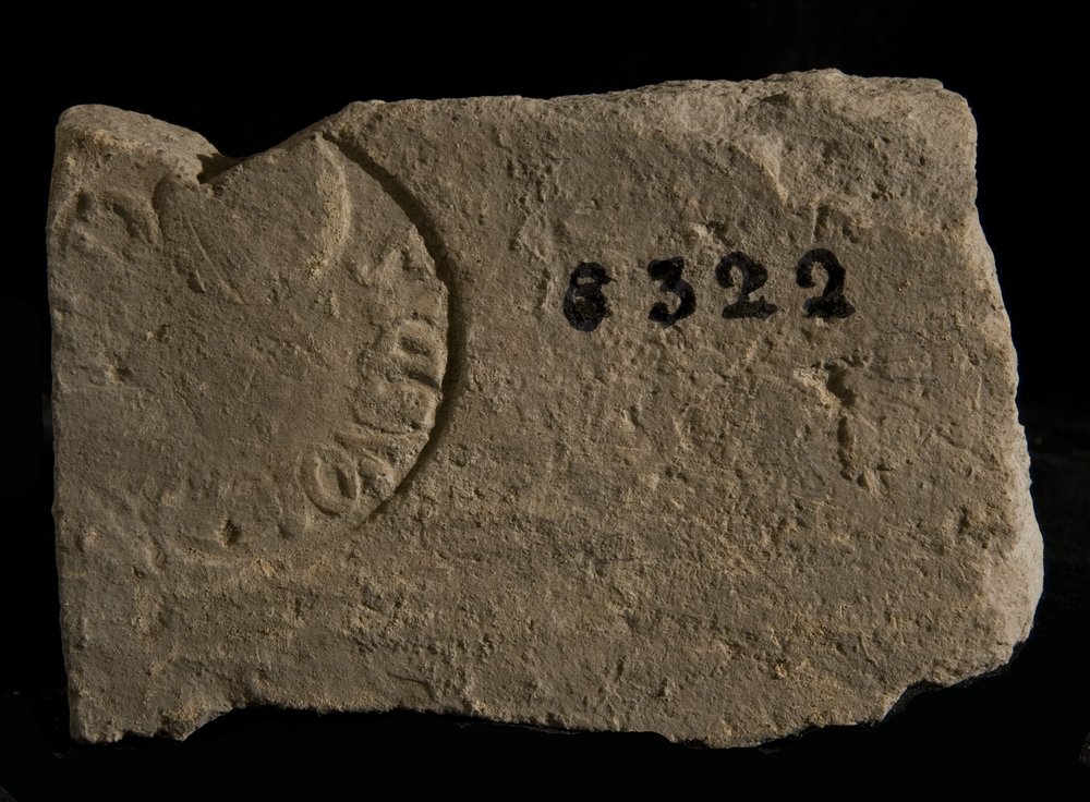Inv. 8322.TIF