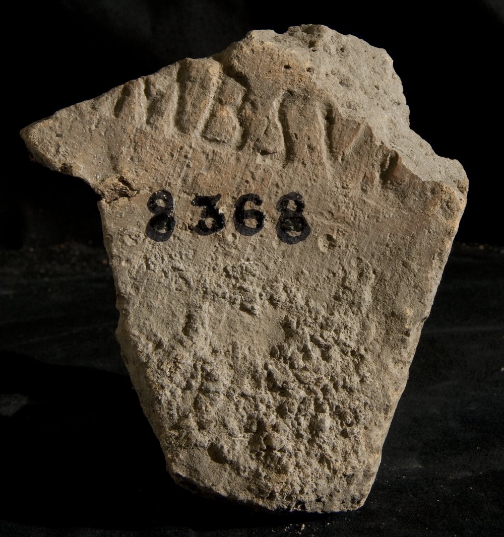 Inv. 8368.TIF