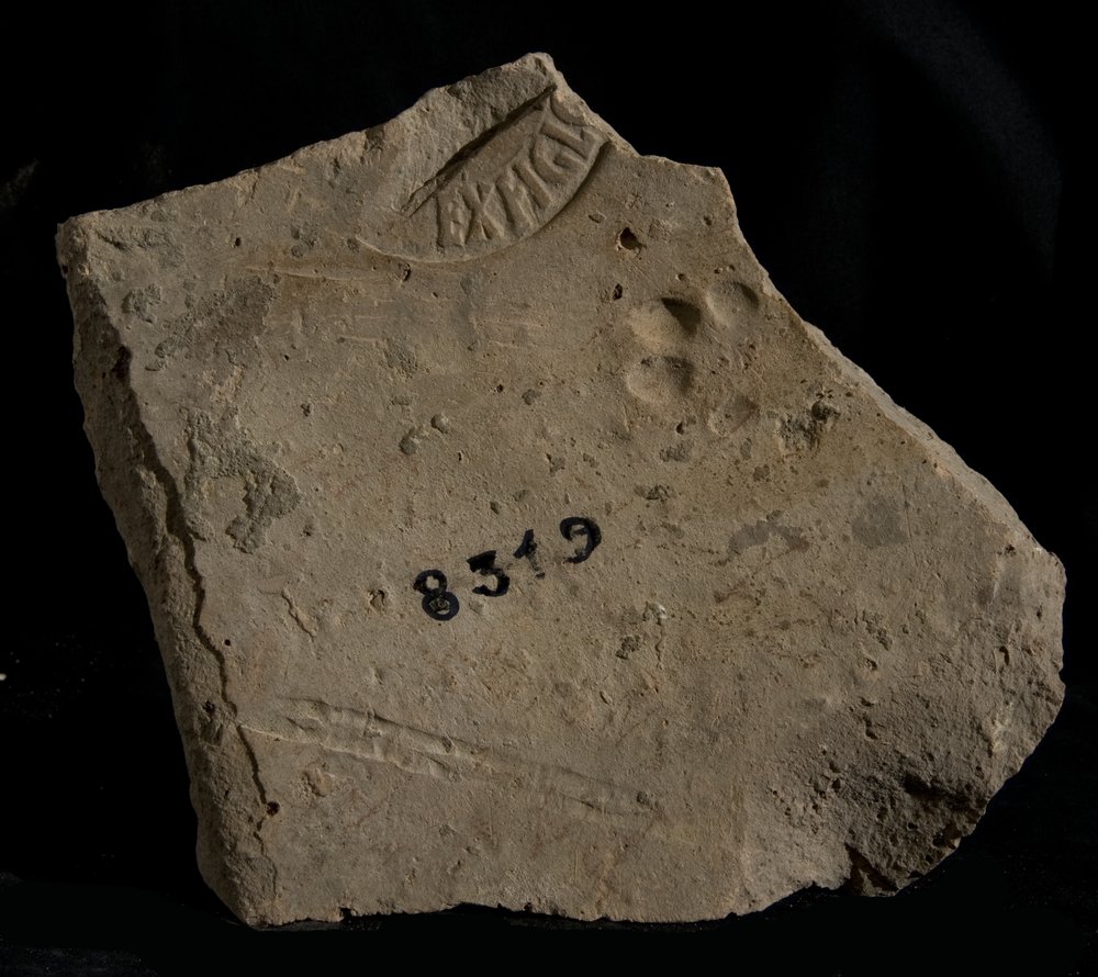 Inv. 8319.TIF