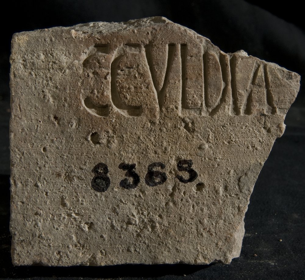 Inv. 8365.TIF