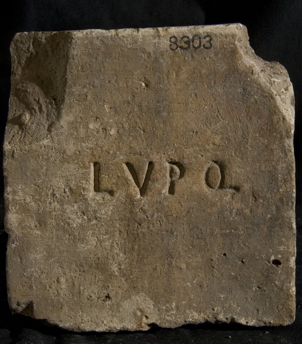 Inv. 8303.TIF