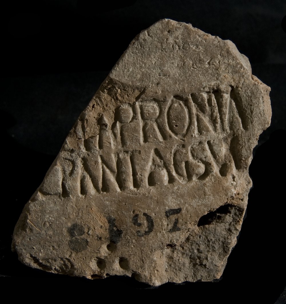 Inv. 8497.TIF