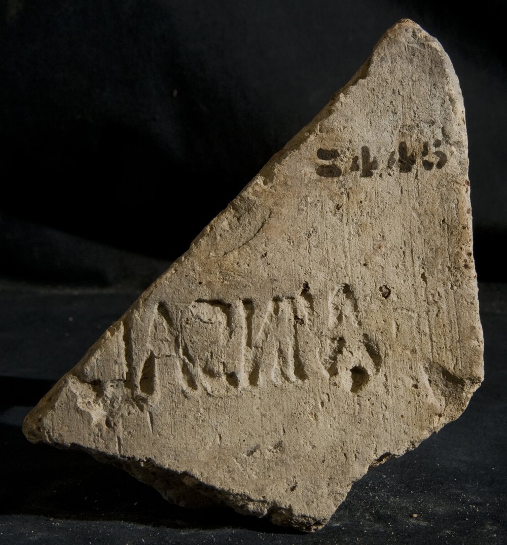 Inv. 8445.TIF