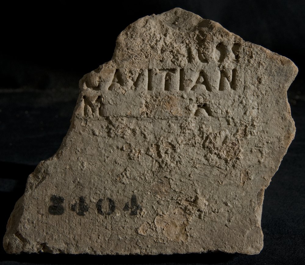 Inv. 8404.TIF