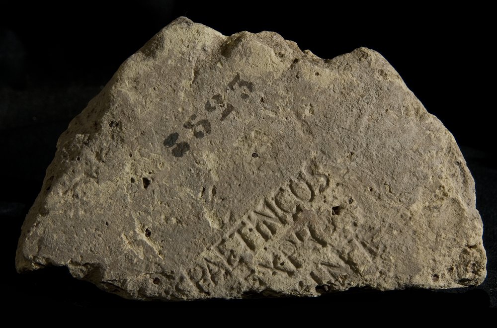Inv. 8523.TIF